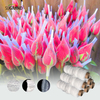 Plastic Flower Bud Net Protecter Sleeve Netting Rose Bud NETS 