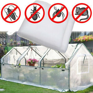 insect net.jpg