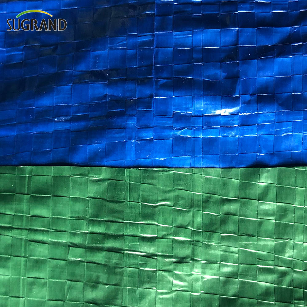 Plastique toile imperméable PE Blue-Green Tarpaulin pour l'agriculture
