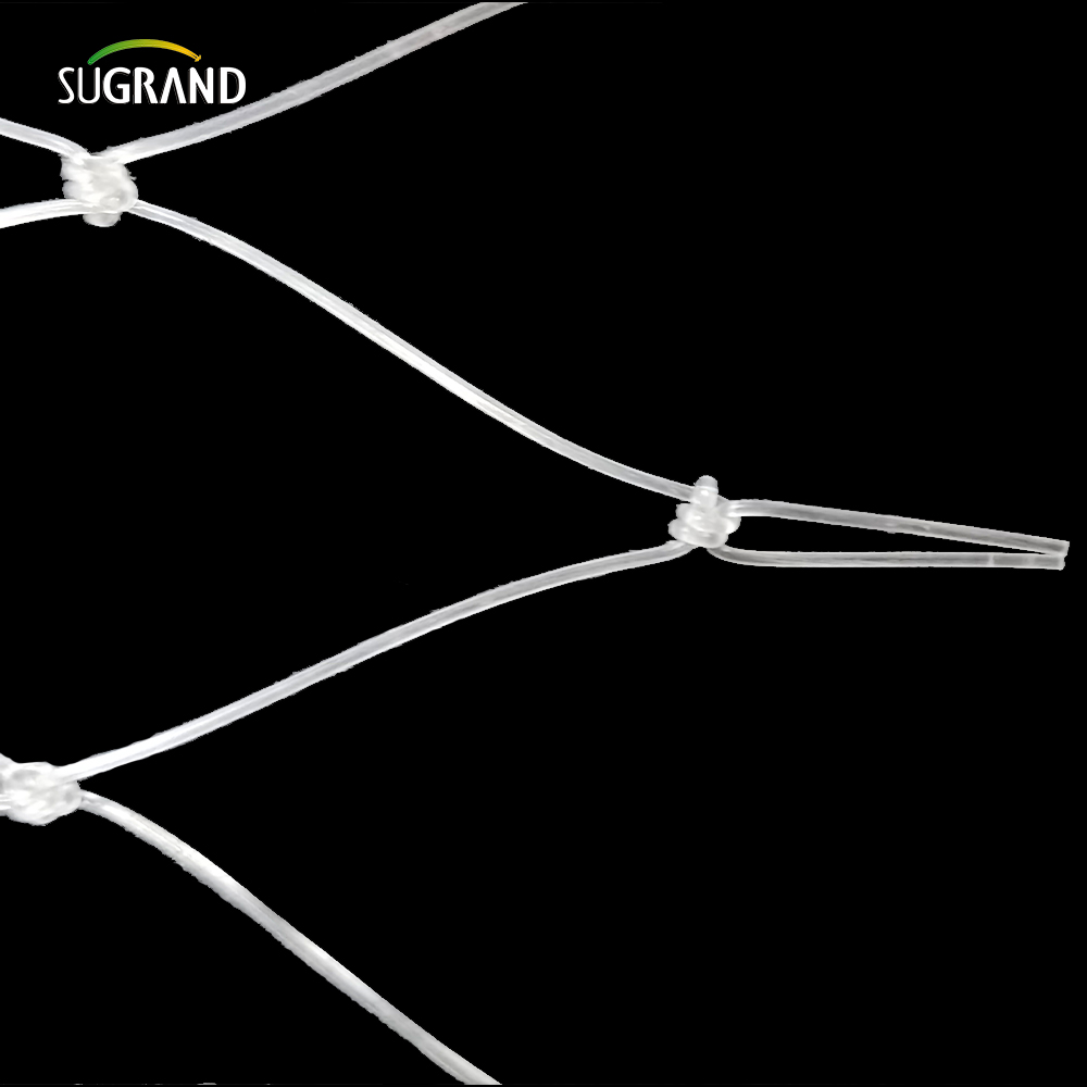 15 * 15 cm Net de poisson en nylon transparent pour le marché du Pérou