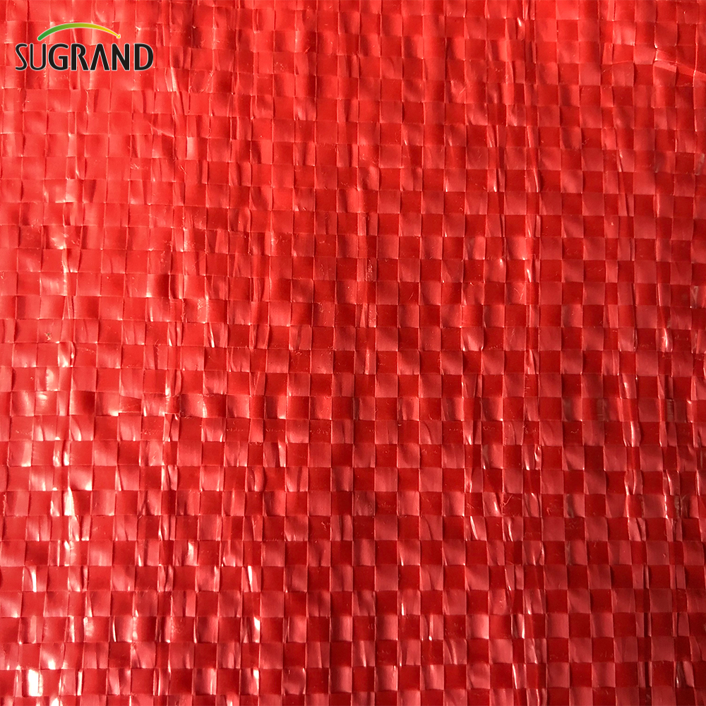 Sacs de pommes de terre en maille plastique du marché du Chili, sacs d'oignon, sac en filet PP