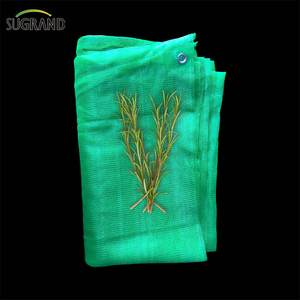 Net de sécurité de la construction bleue de 2,6 kg de haute qualité