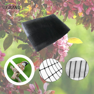 Black Bird Mist Nets Extruded Anti-Bird Net Fournisseurs