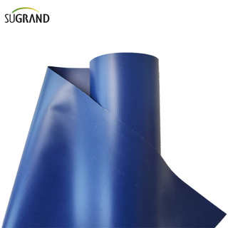 Tarpauline bleue 12x24 