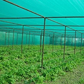 Choisissez le bon filet d'ombre pour augmenter votre récolte