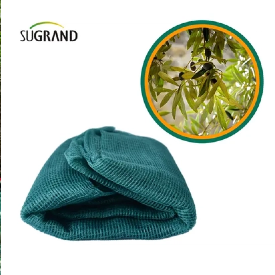 Applications complètes des filets d'olive