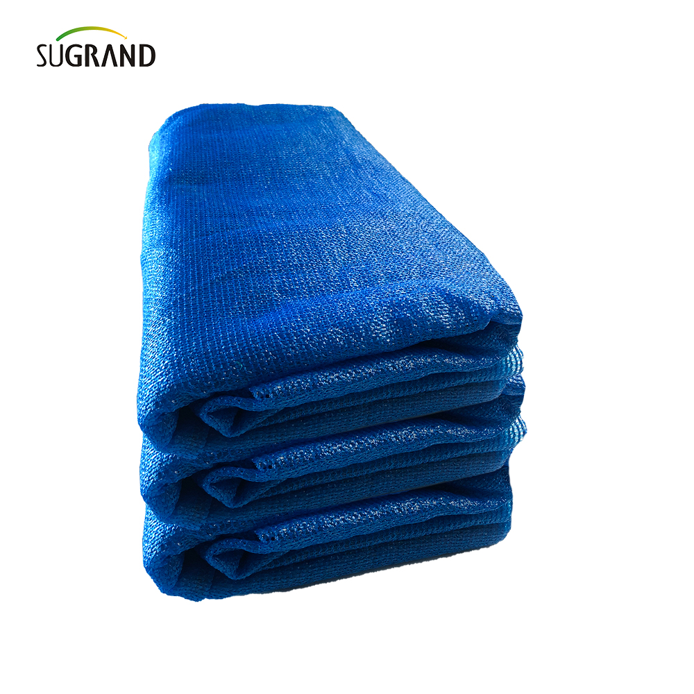 Deux aiguilles de ruban bleu + nuage de ruban adhésif net