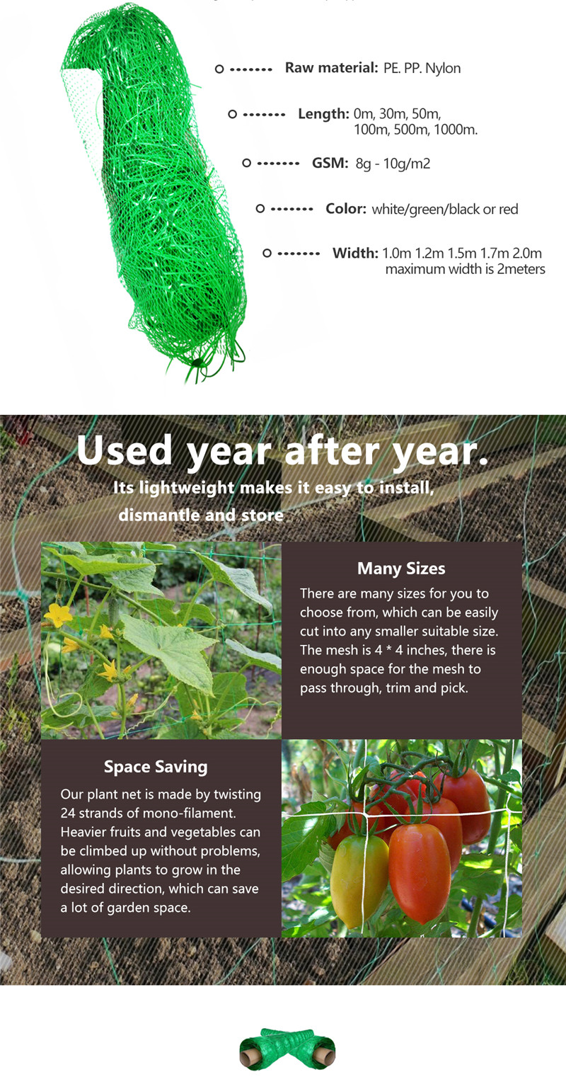 filet de soutien des plantes 2