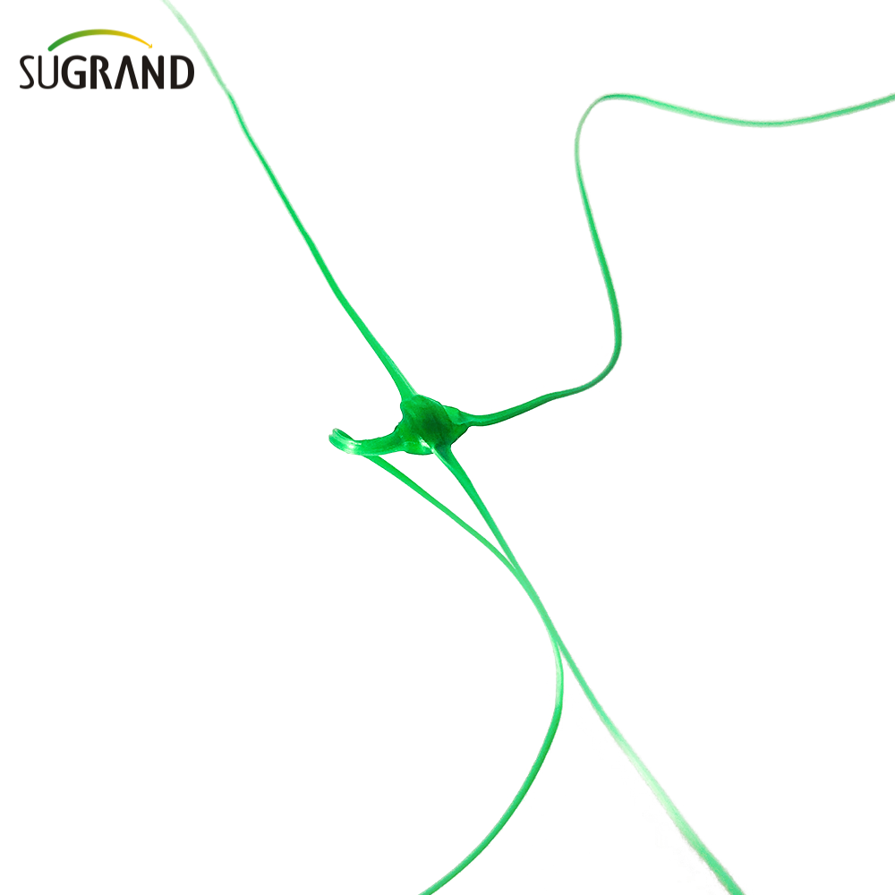 HDPE Protection de la plante Net Net Support Support Net d'escalade Trellis Net