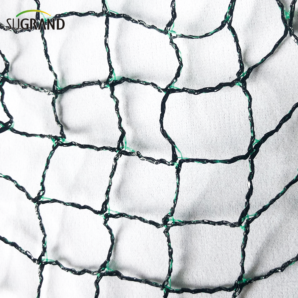 Filet d'oiseau pour arbres fruitiers