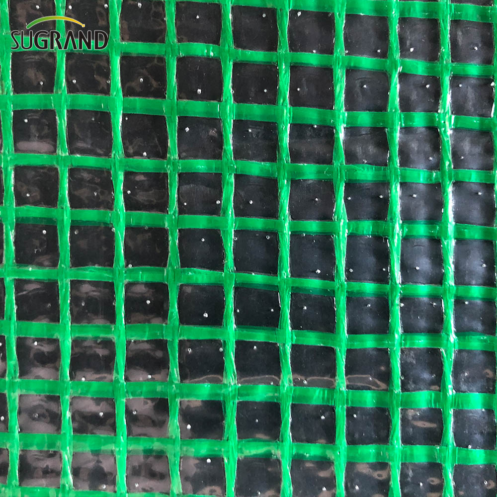 Construction Tarpaulin Sécurité Mesh net Mesh PE Tarpaulin