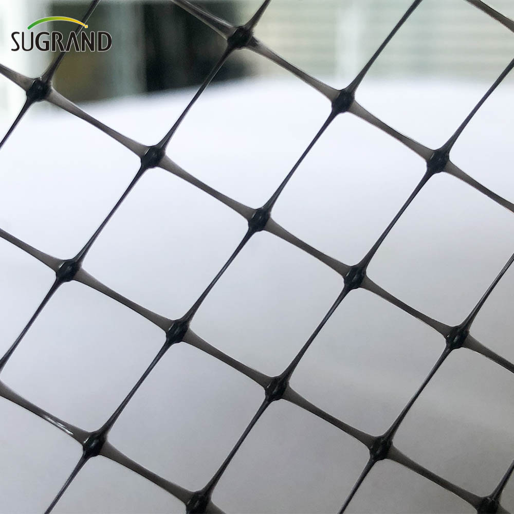 Black Bird Mist Nets Extruded Anti-Bird Net Fournisseurs