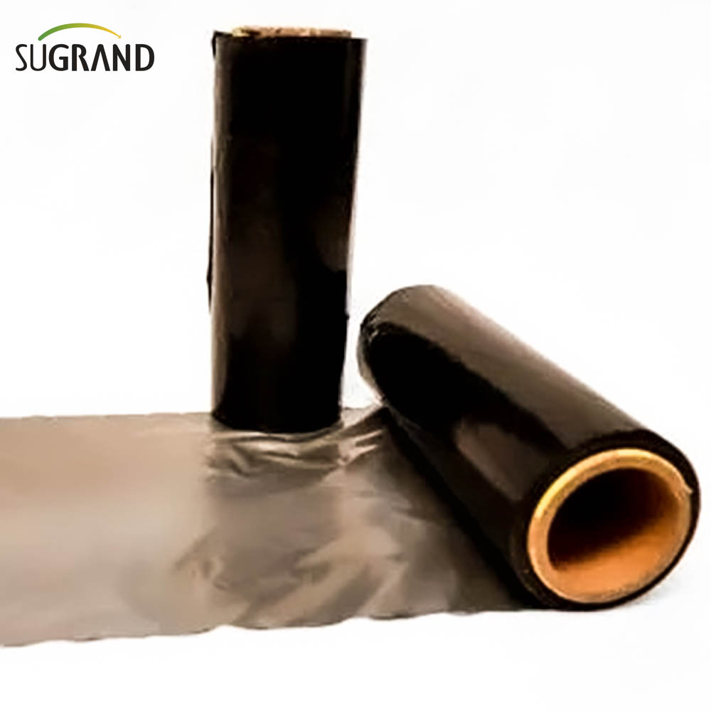 Film de paillis biodégradable Biotelo Paillage Agriplast Paillis Agri