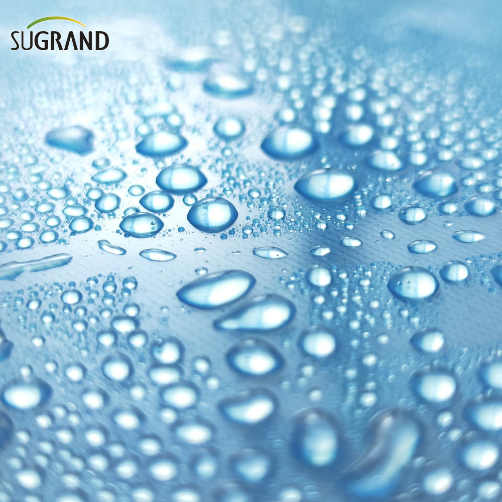 Film de plastique de serre en polyéthylène transparent UV de 150 à 250 microns pour serre en PE