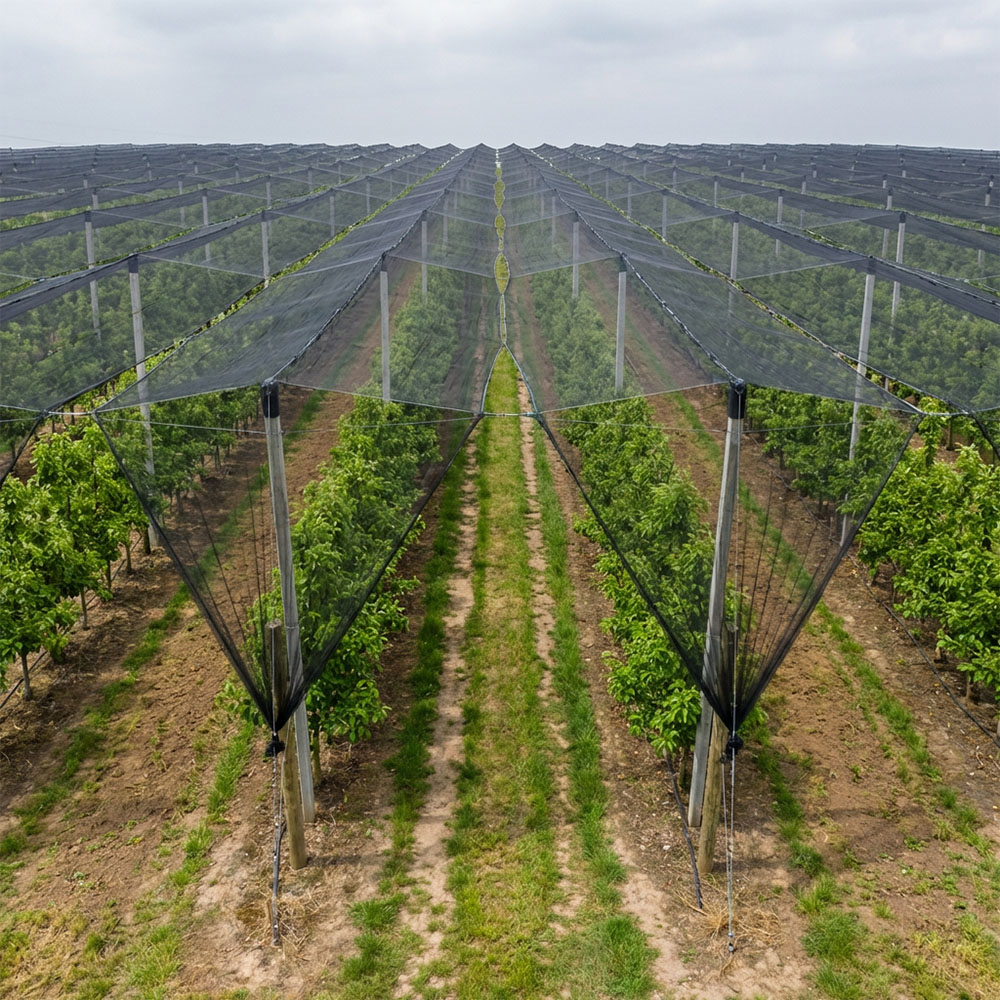 SUGRAND Filet anti-grêle pour fermes vergers