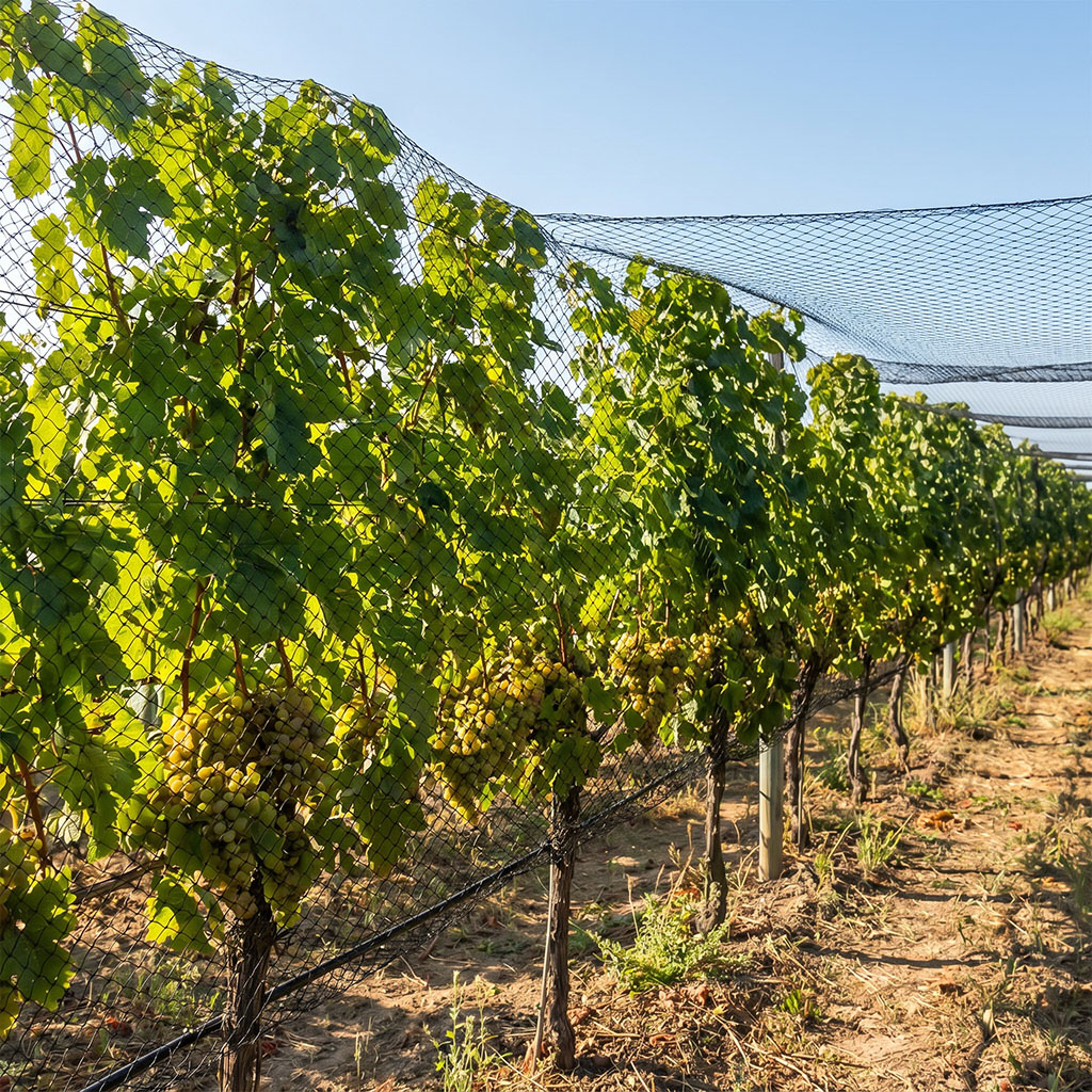 Raschel Filet anti-oiseaux en gros