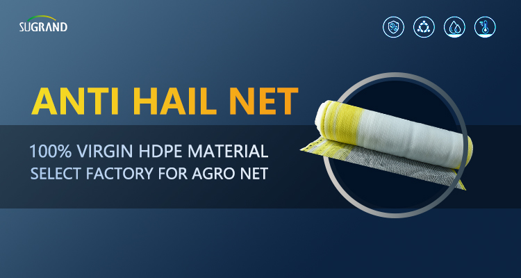 Fixage de gr&ecirc;le pour les vignobles