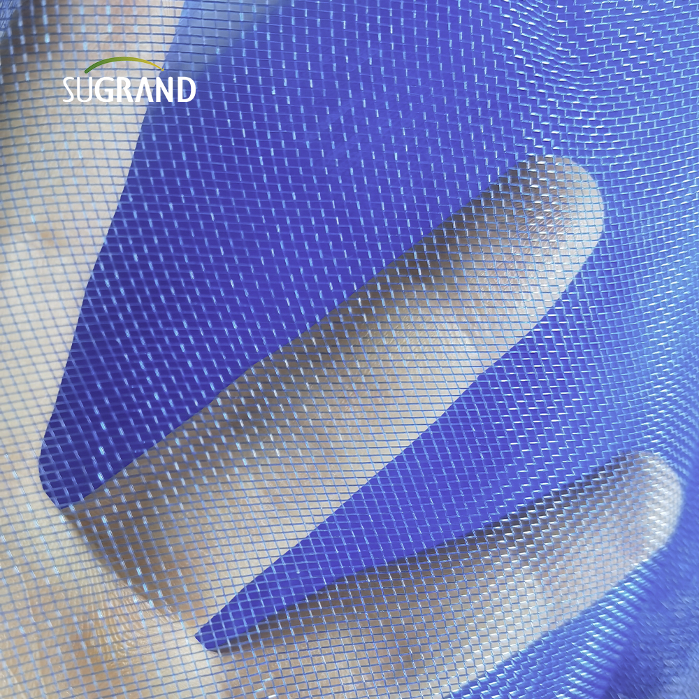 Nigeria Blue Screen Insect Net Mesh pour les fenêtres ou la porte 