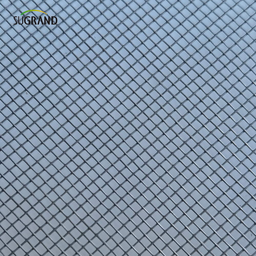 PVC Mosquito Mosquito Mosquito Mosquito Protection de PVC Rouleau de file