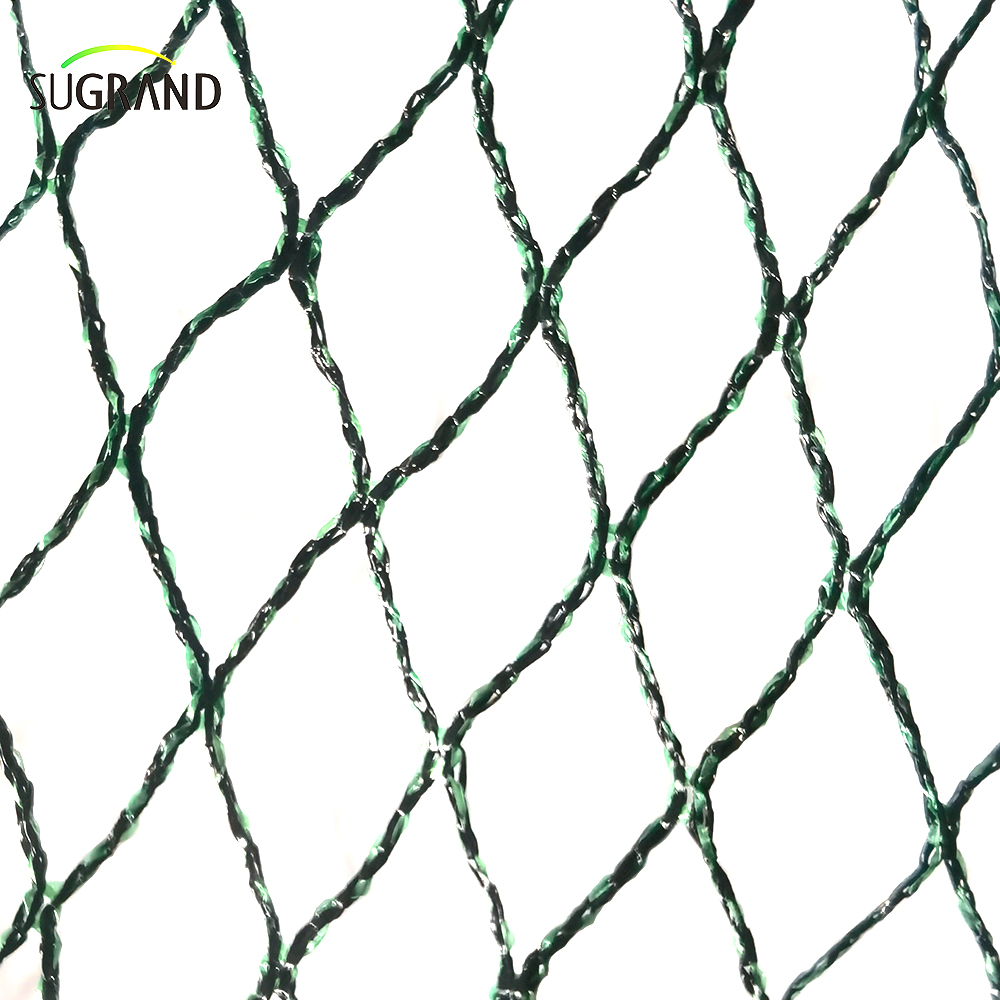 République tchèque 100% HDPE + UV 25GSM 20 * 20 mm Mesh 5 * 6/12m Black Green Agriculture Catching Bird Mist Netting