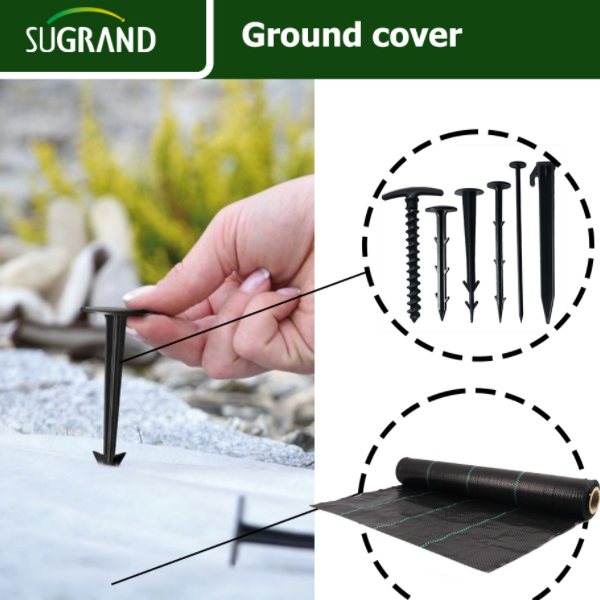 Outil fantastique pour lutter contre les mauvaises herbes