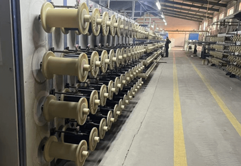 Dessin de fil nette d'insectes