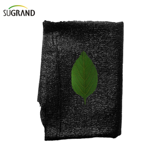 Trois aiguilles de ruban adhésif vert / nuage noir net