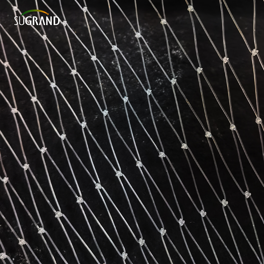 15 * 15 cm Net de poisson en nylon transparent pour le marché du Pérou