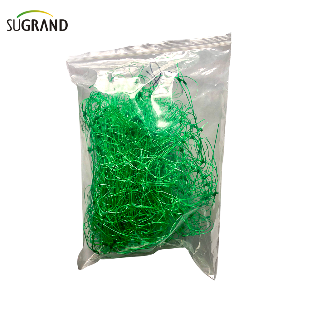 10gsm Green Plant Support Net / Bean Net
