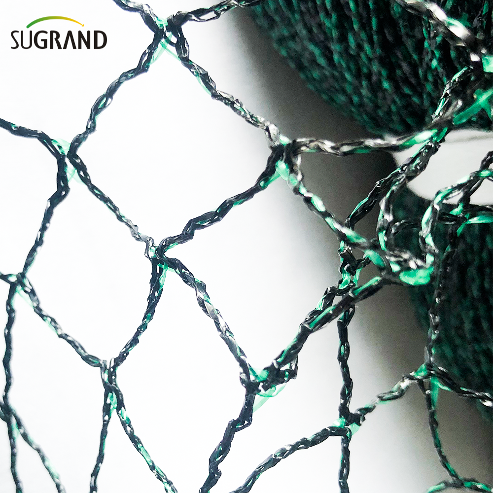 Filet d'oiseau pour arbres fruitiers