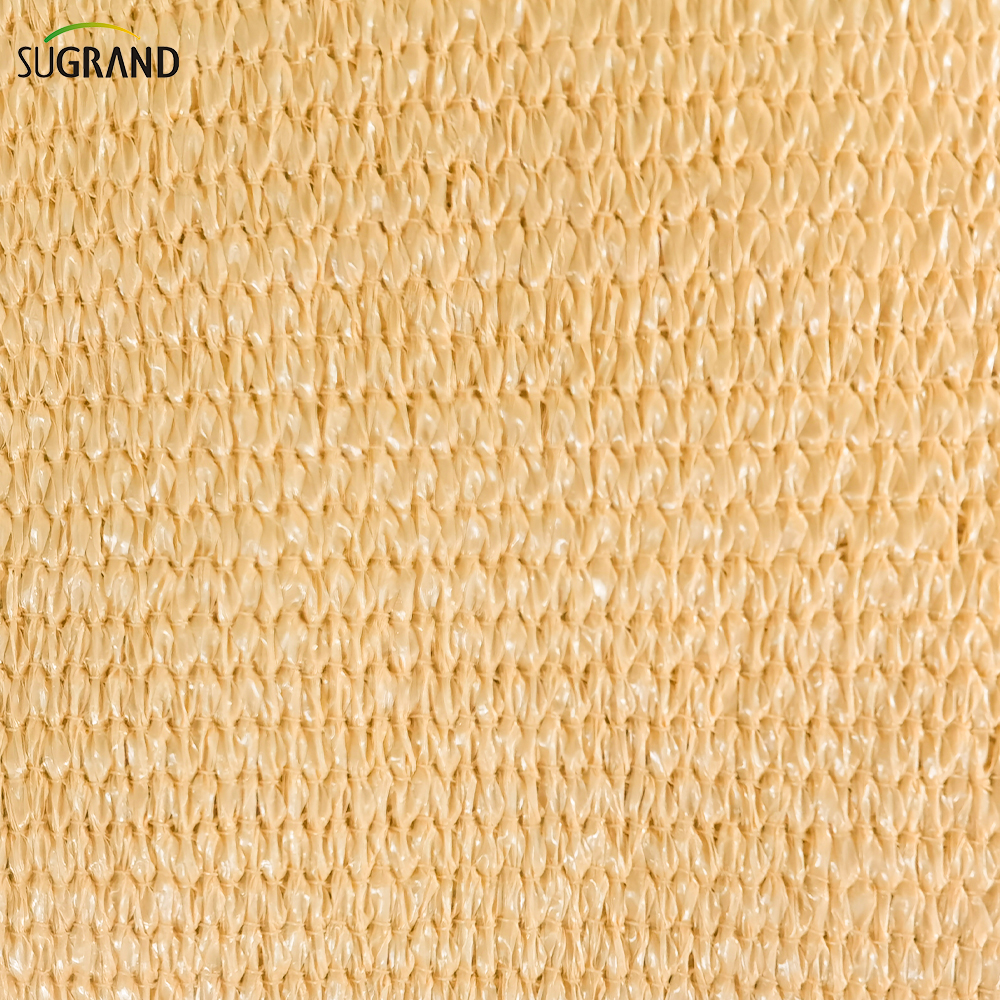 Beige Sun Shade Sail en ligne