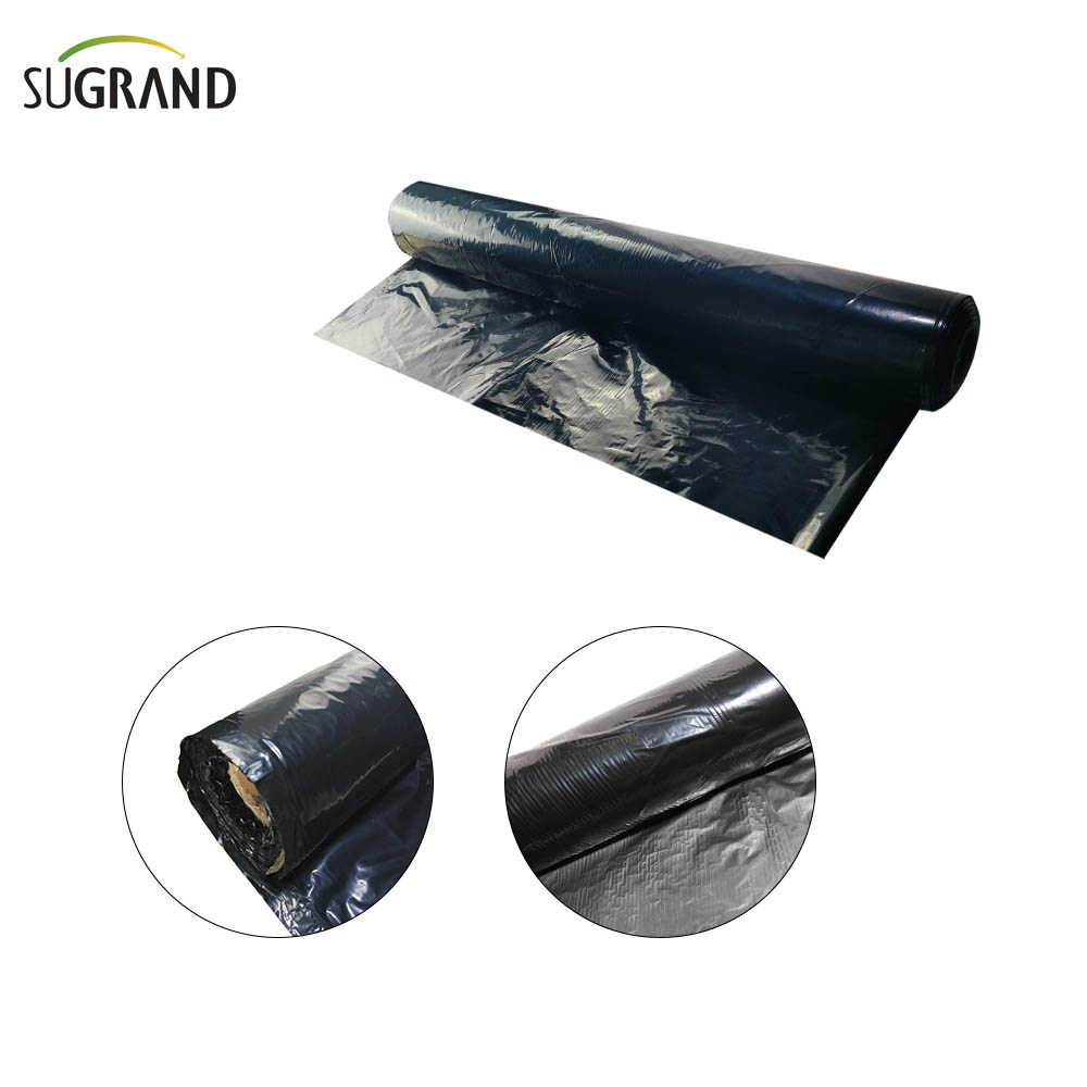 Film de paillis biodégradable Biotelo Paillage Agriplast Paillis Agri