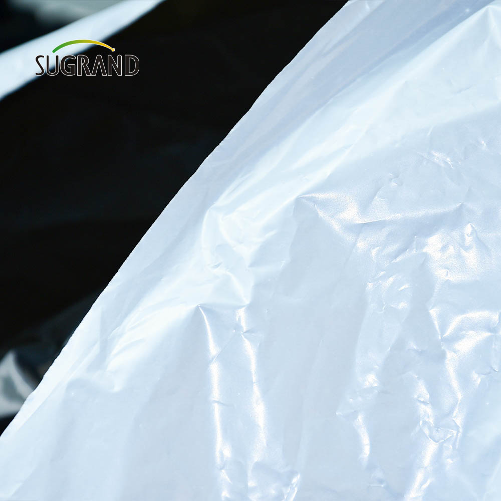 Usine de bonne qualité directement 10 microns - film de paillis biodégradable de 100 microns pour la ferme