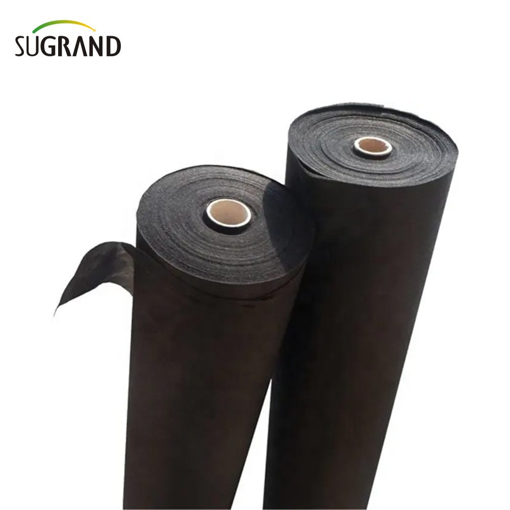 COUVERTURE DE PLANT TEST NON TÉSONNE