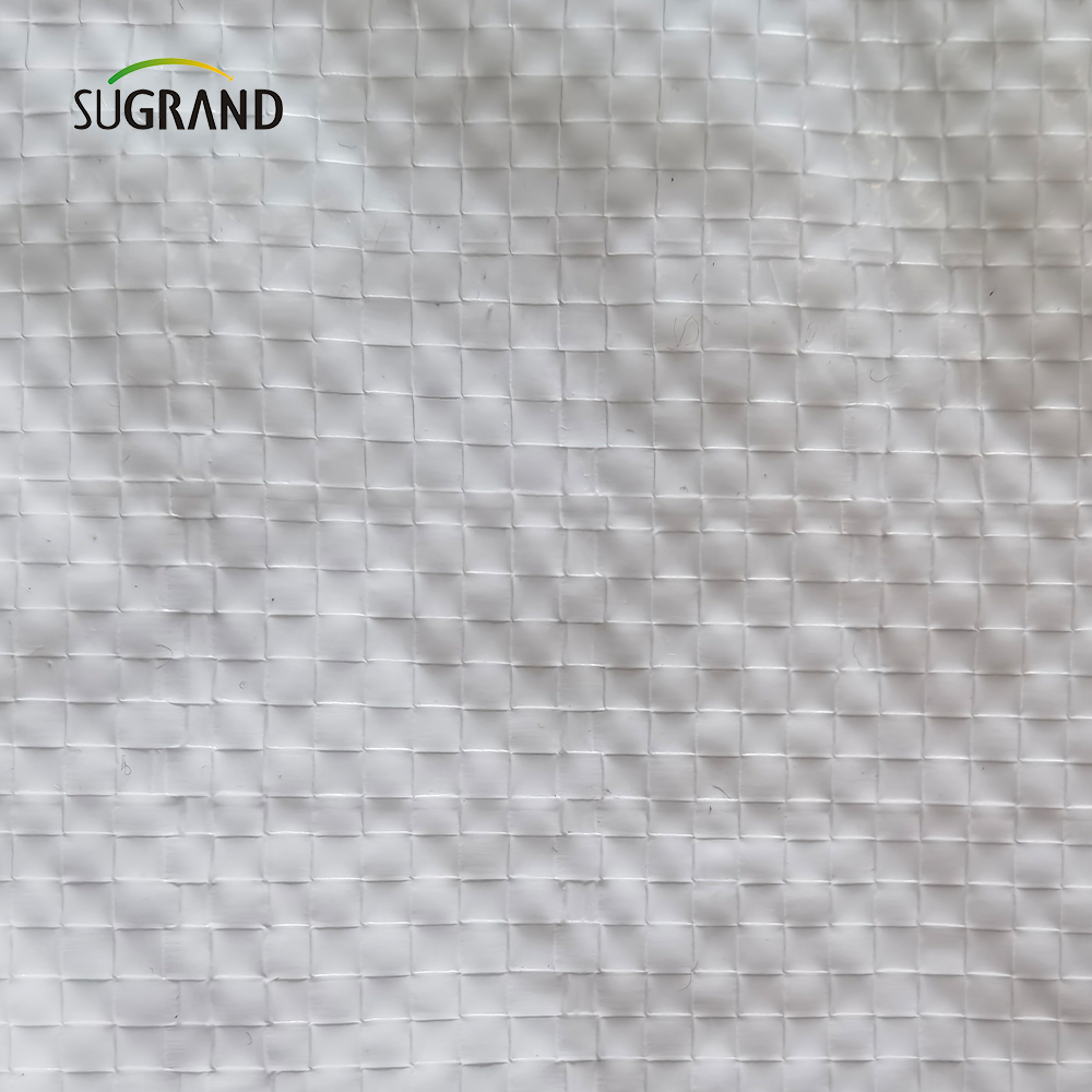 Feuille de bâche UV en plastique blanc direct d'usine PET UV