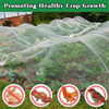 Anti-insecte Netting HDPE 40 50 Mesh Transparent blanc