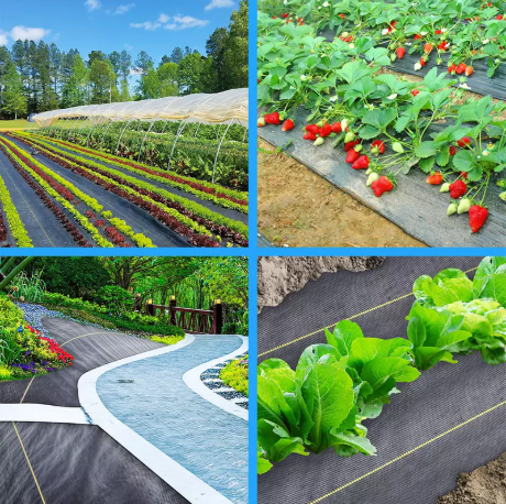 Le couvercle du sol peut-il gérer un temps dur?