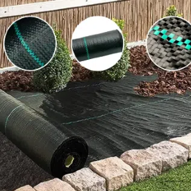 Comment choisir la meilleure couverture terrestre pour votre jardin