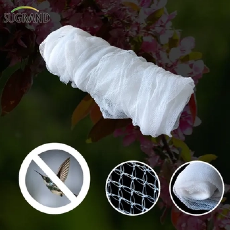 Comment choisir le bon filet d'oiseau vignoble