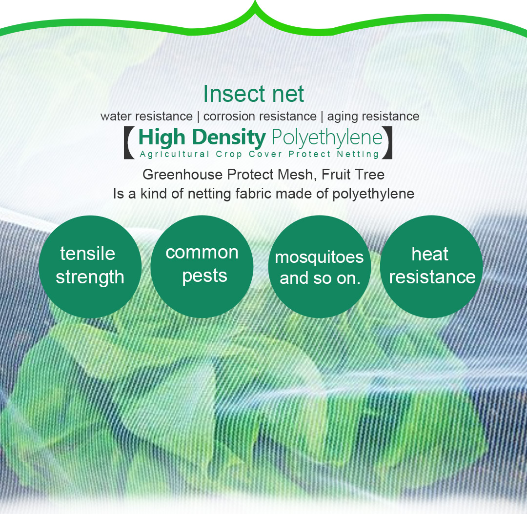 filet anti-insectes4