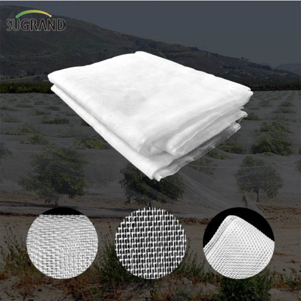 Application de filets anti-insectes dans l'industrie forestière et fruitière