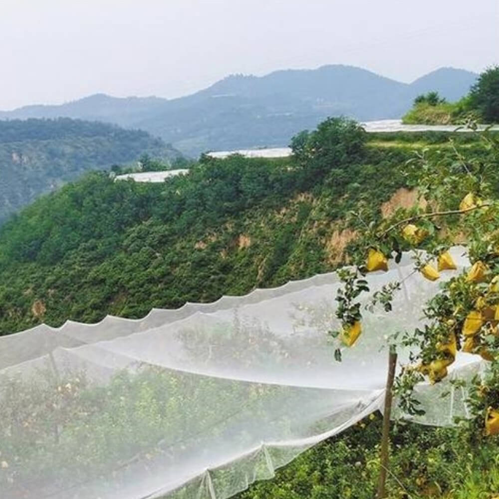 Filet anti-grêle tricoté de qualité supérieure pour les vignobles