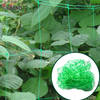 10gsm Green Plant Support Net / Bean Net