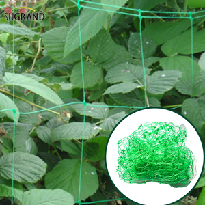 10gsm Green Plant Support Net / Bean Net