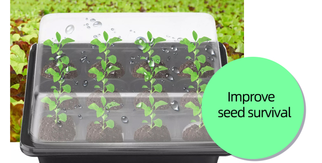 obturateurstock_572805157