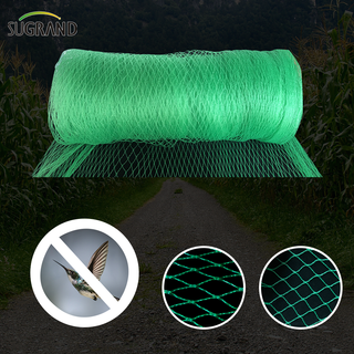 Green Bird Net 4x30m Bird Net pour les fournisseurs du marché en Thaïlande