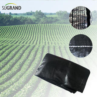 5% UV Black Out Tissu en aluminium Shade Net pour le marché de la Thaïlande 