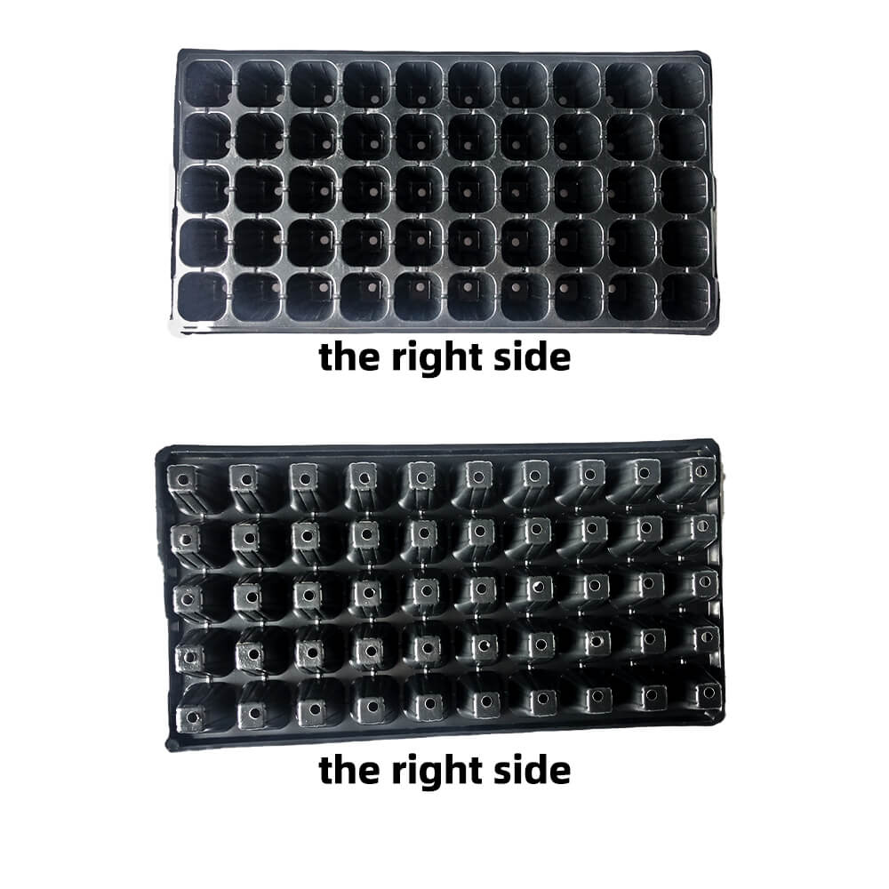 Plant de graines Germination des légumes de fleur du plateau de croissance du plateau de semis de semis