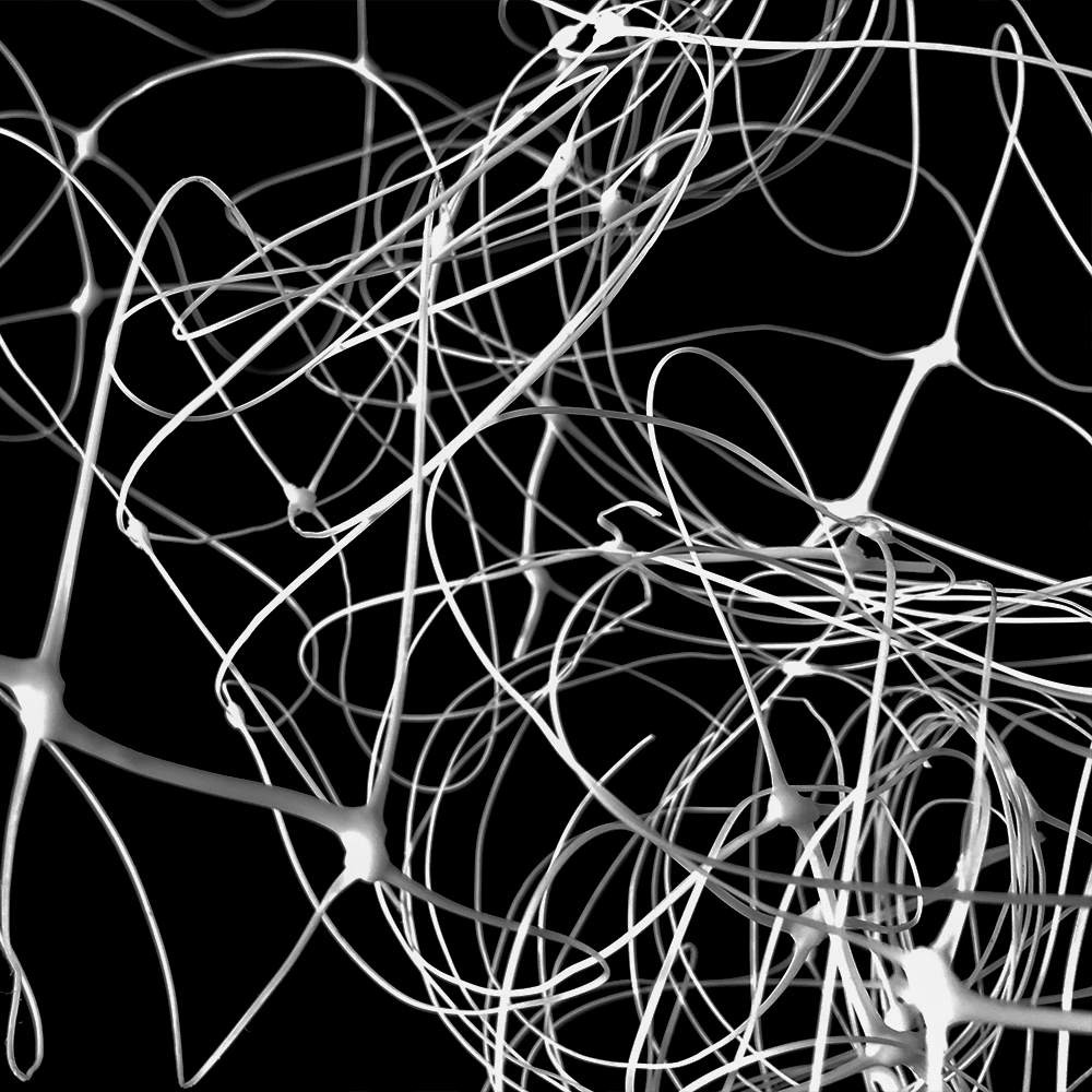 Support de soutien en treillis de jardin pour grimper les plantes extérieures