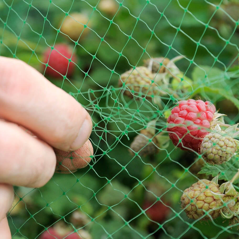 Filet anti-oiseaux pour verger et ferme